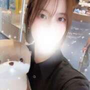 ヒメ日記 2025/09/20 13:45 投稿 乙川 優希 メルビス＆アトリアーナ