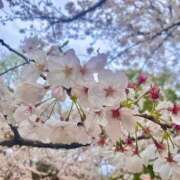 ヒメ日記 2026/04/04 14:25 投稿 ことは ハイブリッドヘルス小岩中央