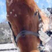 ヒメ日記 2025/03/06 02:48 投稿 立花ゆり お姉さんLABO -艶-