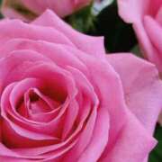 ヒメ日記 2025/04/06 19:48 投稿 立花ゆり お姉さんLABO -艶-