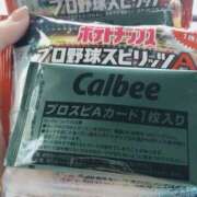 ヒメ日記 2025/04/08 09:52 投稿 立花ゆり お姉さんLABO -艶-