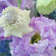 ヒメ日記 2025/05/03 07:18 投稿 立花ゆり お姉さんLABO -艶-