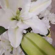 ヒメ日記 2025/05/19 21:08 投稿 立花ゆり お姉さんLABO -艶-