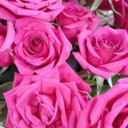 ヒメ日記 2025/05/25 01:18 投稿 立花ゆり お姉さんLABO -艶-