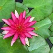 ヒメ日記 2025/05/31 15:08 投稿 立花ゆり お姉さんLABO -艶-