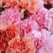 ヒメ日記 2025/05/31 17:08 投稿 立花ゆり お姉さんLABO -艶-