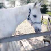 ヒメ日記 2025/06/01 21:16 投稿 立花ゆり お姉さんLABO -艶-
