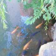 ヒメ日記 2025/09/01 08:18 投稿 立花ゆり お姉さんLABO -艶-