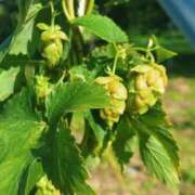 ヒメ日記 2025/09/17 19:18 投稿 立花ゆり お姉さんLABO -艶-