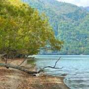 ヒメ日記 2025/10/05 13:58 投稿 立花ゆり お姉さんLABO -艶-