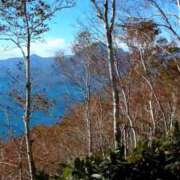 ヒメ日記 2025/10/11 06:18 投稿 立花ゆり お姉さんLABO -艶-