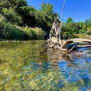 ヒメ日記 2025/10/11 14:31 投稿 立花ゆり お姉さんLABO -艶-