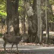 ヒメ日記 2025/10/12 10:18 投稿 立花ゆり お姉さんLABO -艶-