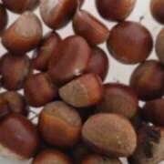 ヒメ日記 2025/10/14 00:32 投稿 立花ゆり お姉さんLABO -艶-