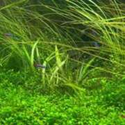 ヒメ日記 2025/10/14 00:38 投稿 立花ゆり お姉さんLABO -艶-