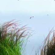 ヒメ日記 2025/10/15 01:08 投稿 立花ゆり お姉さんLABO -艶-