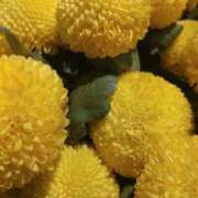 ヒメ日記 2025/10/20 11:48 投稿 立花ゆり お姉さんLABO -艶-