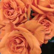 ヒメ日記 2025/10/26 16:18 投稿 立花ゆり お姉さんLABO -艶-