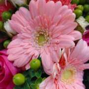 ヒメ日記 2025/10/27 07:58 投稿 立花ゆり お姉さんLABO -艶-