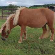 ヒメ日記 2025/10/31 21:58 投稿 立花ゆり お姉さんLABO -艶-