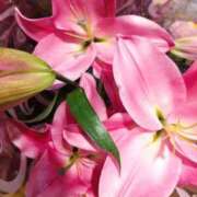 ヒメ日記 2025/10/31 23:18 投稿 立花ゆり お姉さんLABO -艶-