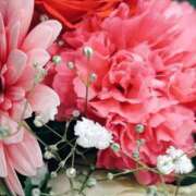 ヒメ日記 2025/11/01 10:01 投稿 立花ゆり お姉さんLABO -艶-