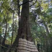 ヒメ日記 2025/11/03 00:32 投稿 立花ゆり お姉さんLABO -艶-