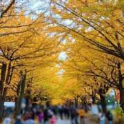 ヒメ日記 2025/11/05 02:38 投稿 立花ゆり お姉さんLABO -艶-