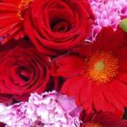 ヒメ日記 2025/11/20 06:32 投稿 立花ゆり お姉さんLABO -艶-