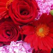 ヒメ日記 2025/12/02 17:38 投稿 立花ゆり お姉さんLABO -艶-