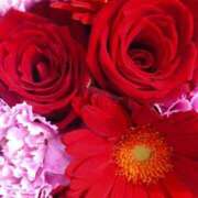 ヒメ日記 2025/12/14 09:48 投稿 立花ゆり お姉さんLABO -艶-