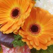 ヒメ日記 2026/01/07 18:56 投稿 立花ゆり お姉さんLABO -艶-