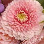 ヒメ日記 2026/01/07 20:38 投稿 立花ゆり お姉さんLABO -艶-