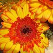 ヒメ日記 2026/01/09 09:38 投稿 立花ゆり お姉さんLABO -艶-