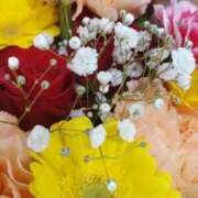 ヒメ日記 2026/01/16 10:08 投稿 立花ゆり お姉さんLABO -艶-