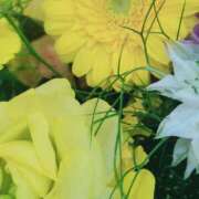 ヒメ日記 2026/01/21 10:09 投稿 立花ゆり お姉さんLABO -艶-