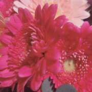 ヒメ日記 2026/01/22 22:20 投稿 立花ゆり お姉さんLABO -艶-