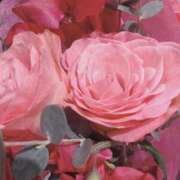 ヒメ日記 2026/01/25 00:55 投稿 立花ゆり お姉さんLABO -艶-