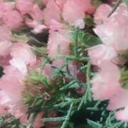 ヒメ日記 2026/02/09 13:38 投稿 立花ゆり お姉さんLABO -艶-