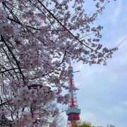 ヒメ日記 2026/03/27 08:28 投稿 立花ゆり お姉さんLABO -艶-