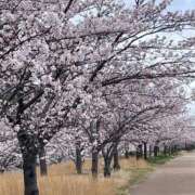 ヒメ日記 2026/04/09 13:08 投稿 立花ゆり お姉さんLABO -艶-