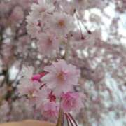 ヒメ日記 2026/04/16 21:54 投稿 立花ゆり お姉さんLABO -艶-