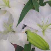 ヒメ日記 2026/05/30 06:18 投稿 立花ゆり お姉さんLABO -艶-