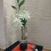 ヒメ日記 2026/06/12 09:08 投稿 立花ゆり お姉さんLABO -艶-