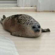 ヒメ日記 2026/07/13 22:17 投稿 立花ゆり お姉さんLABO -艶-