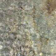 ヒメ日記 2026/08/15 17:08 投稿 立花ゆり お姉さんLABO -艶-