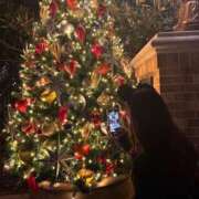 ヒメ日記 2024/12/19 15:29 投稿 星名 茉優 絢(あや)