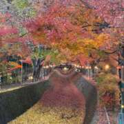 ヒメ日記 2025/11/23 00:11 投稿 星名 茉優 絢(あや)