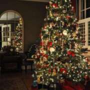 星名 茉優 🎅一緒に楽しも🎄 絢(あや)