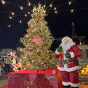 ヒメ日記 2025/12/24 23:29 投稿 星名 茉優 絢(あや)